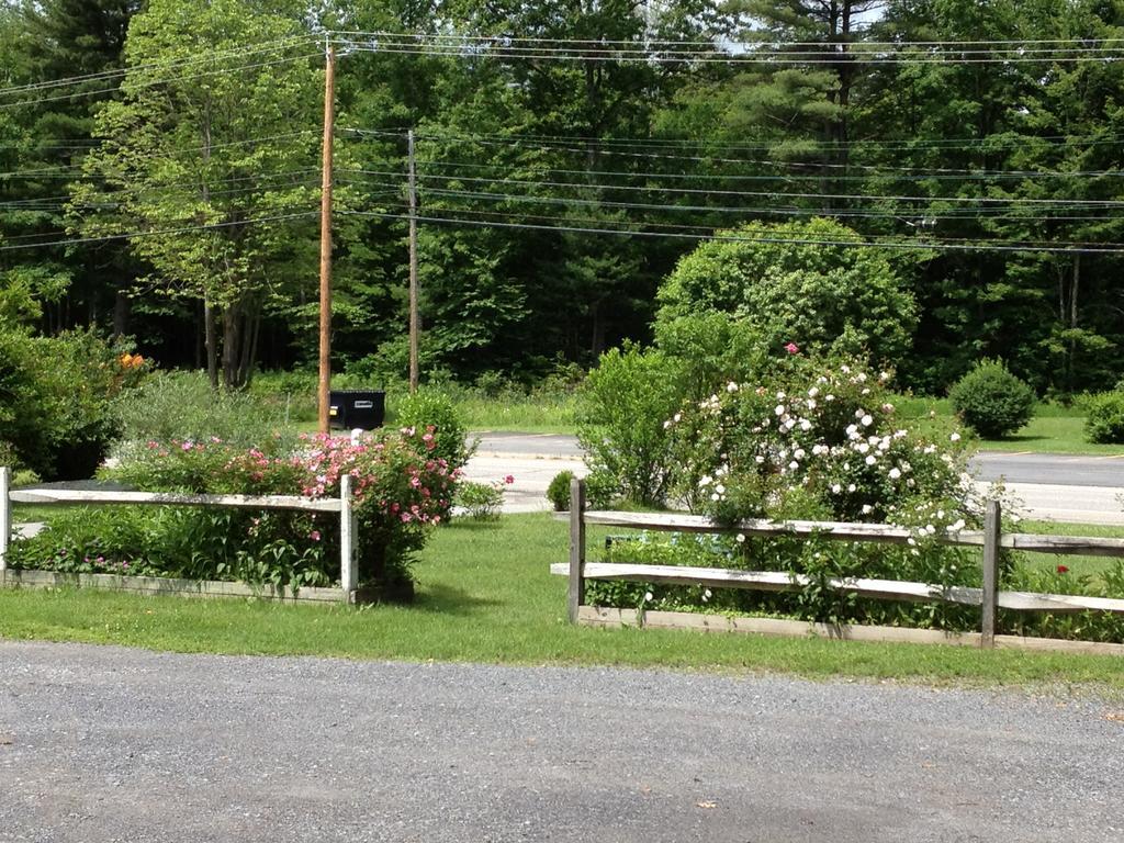 Mcgregor Inn Motel Wilton Экстерьер фото