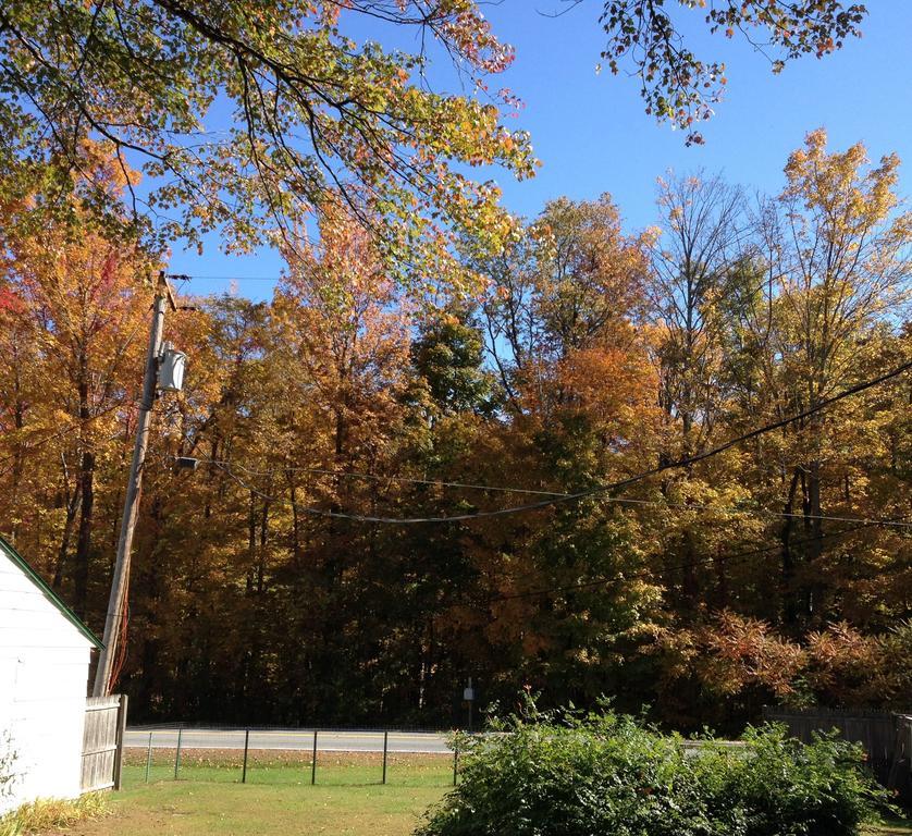 Mcgregor Inn Motel Wilton Экстерьер фото